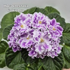 НД-Эклектика (Данилова-Суворова)